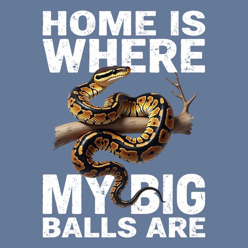 Python roi Serpents Amateurs de terrarium Python