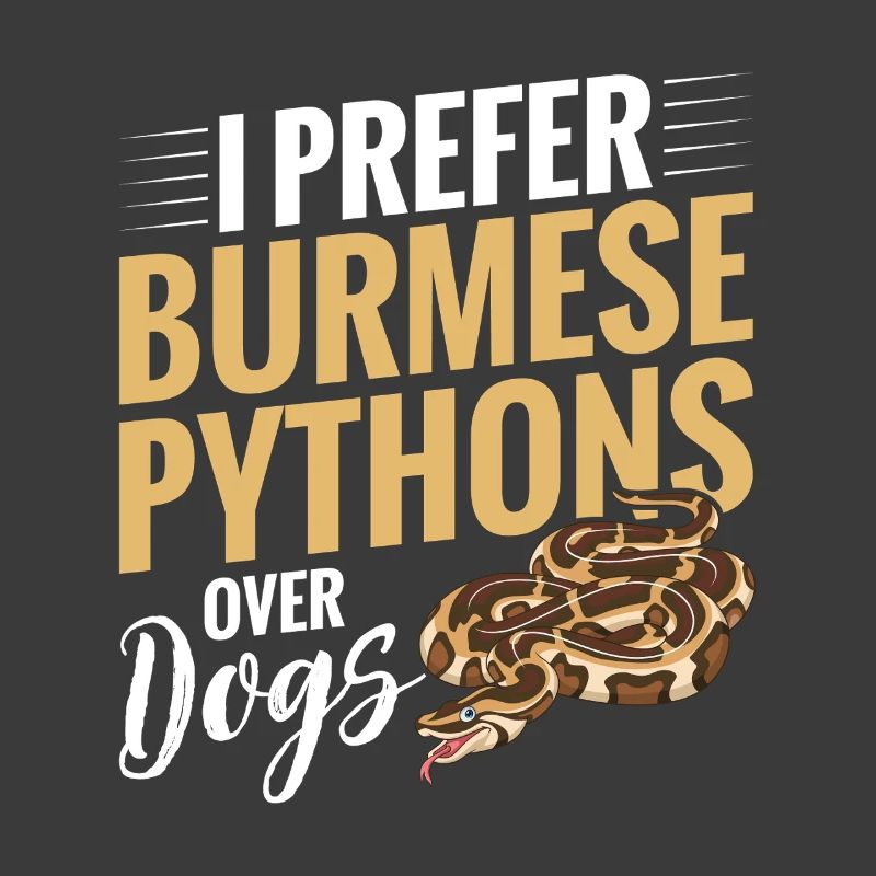 Python birman Stuff Reptile Foos Propriétaire de serpent