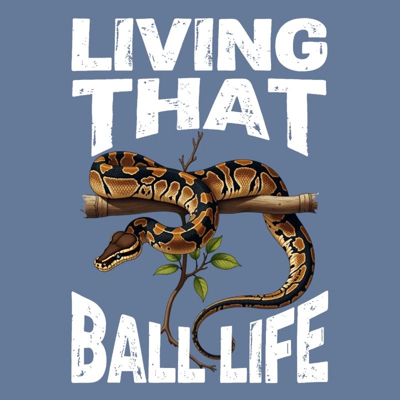 Python roi Serpents Amateurs de terrarium Python