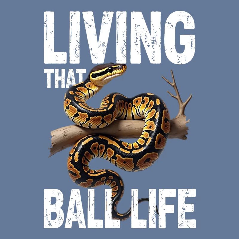 Python roi Serpents Amateurs de terrarium Python