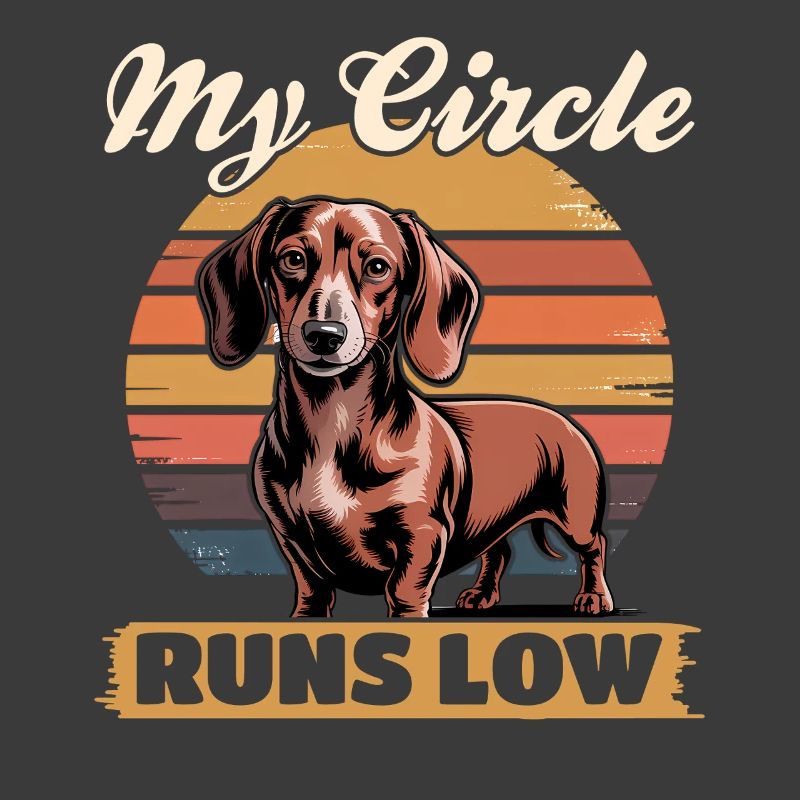 Teckel de race de chien drôle