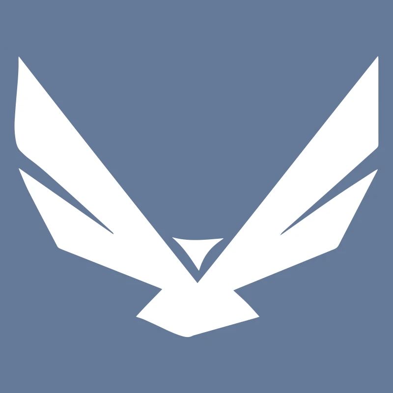 Eagle in the simplest form - design