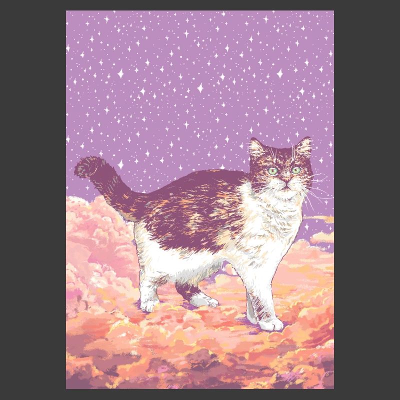 CLOUD CAT