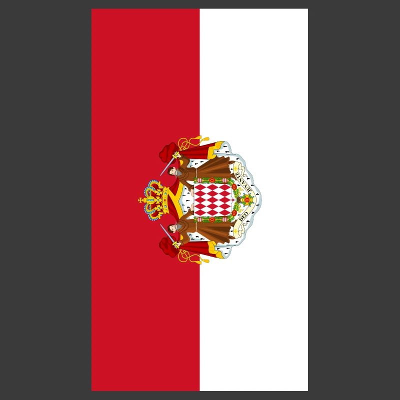 Monaco flag phone case