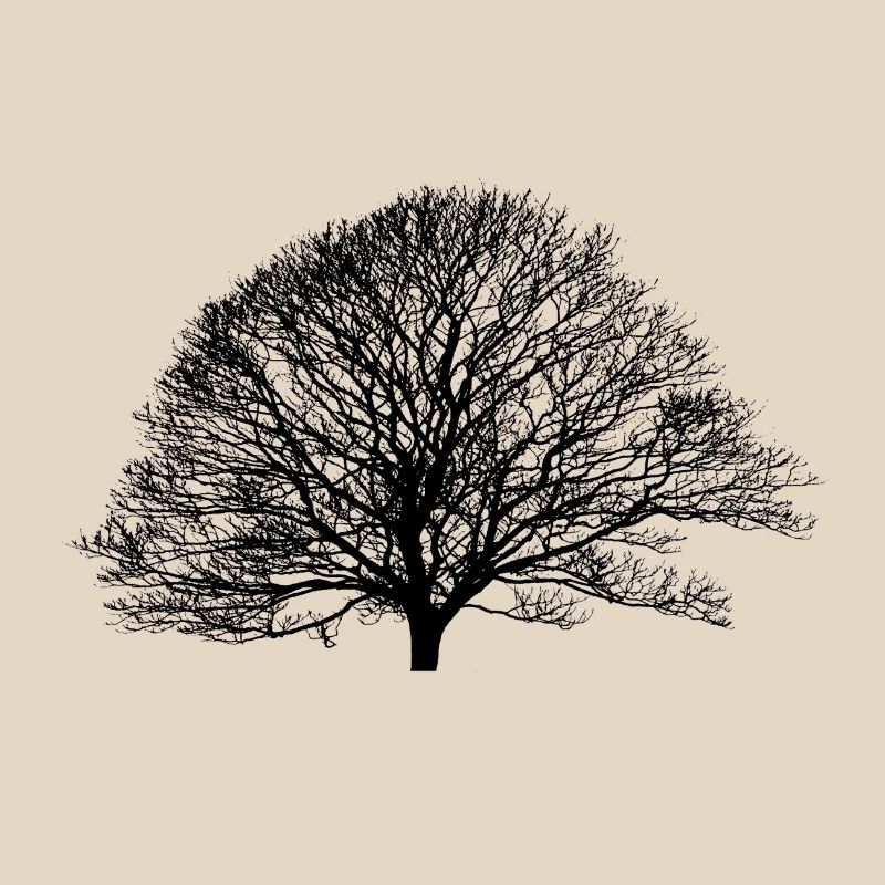 Shadow_no logo
