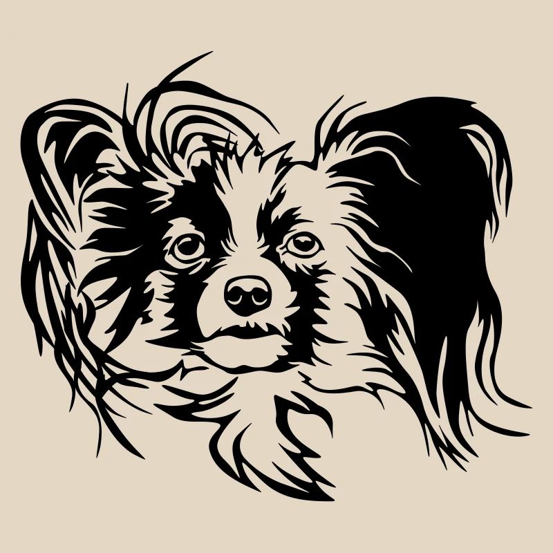Papillon Kopf