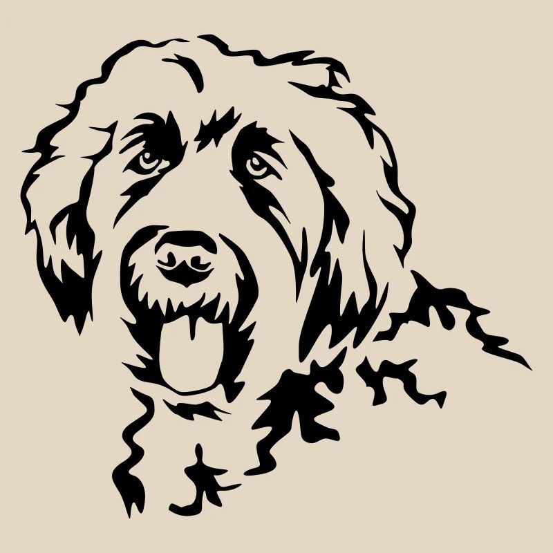 Tête Labradoodle