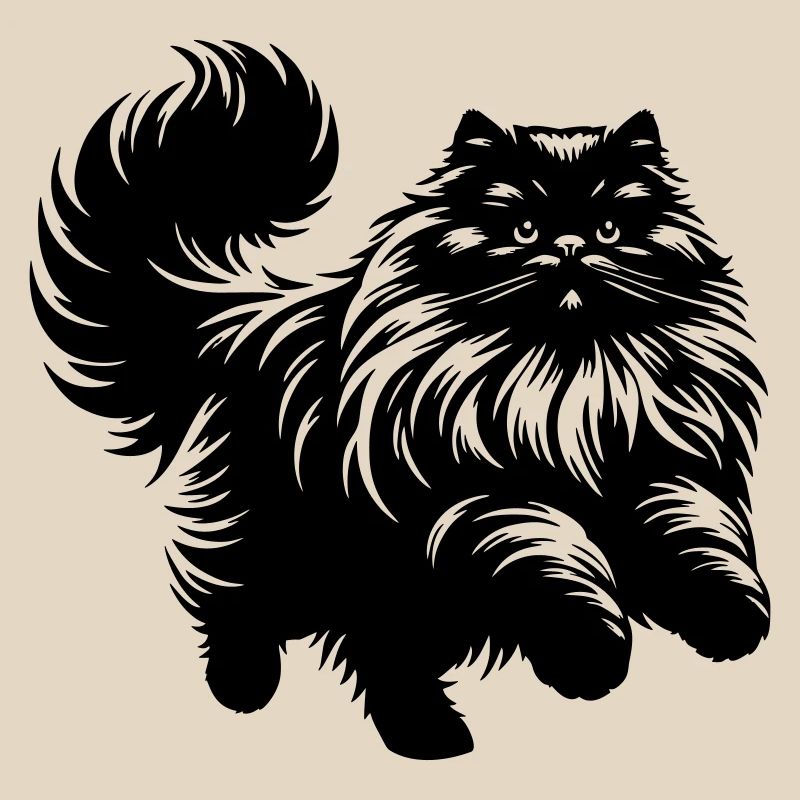 Chat persan - Persan