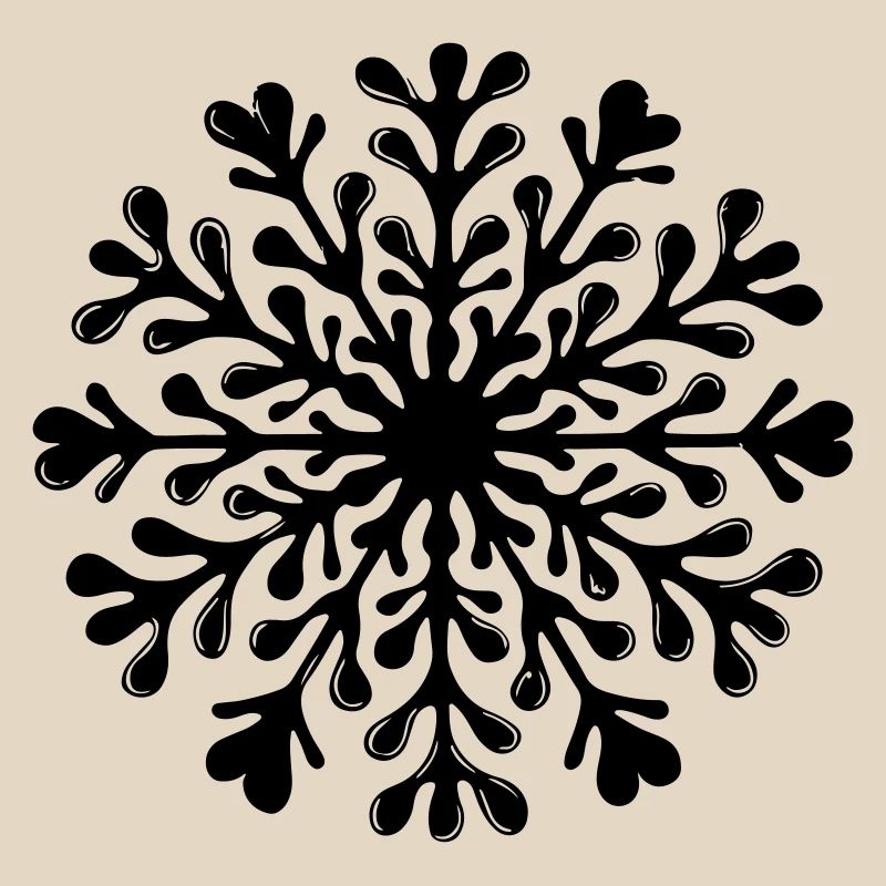 Snowflake Winter Icon