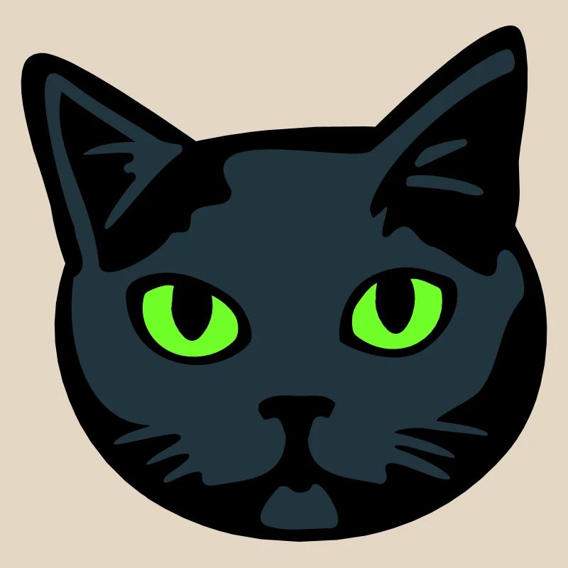 Graue Katze / Kater "Britisch Kurzhaar"