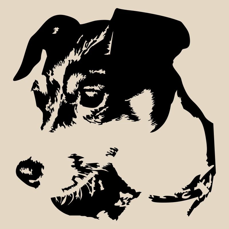 Tête de Jack Russell Terrier