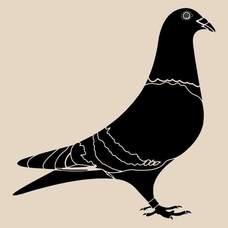 Carrier pigeon shade