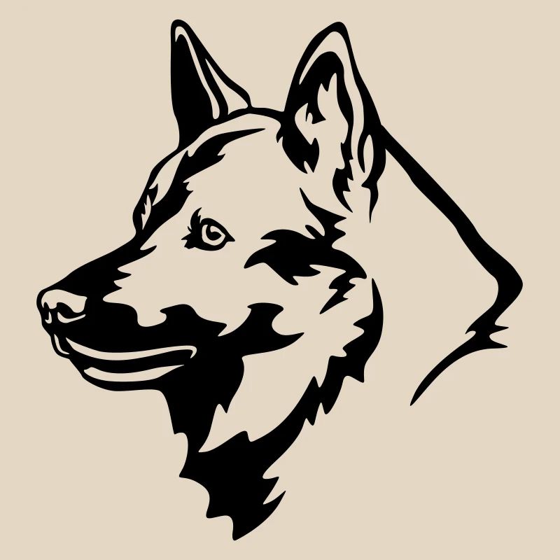 Norwegischer Elchhund Kopf