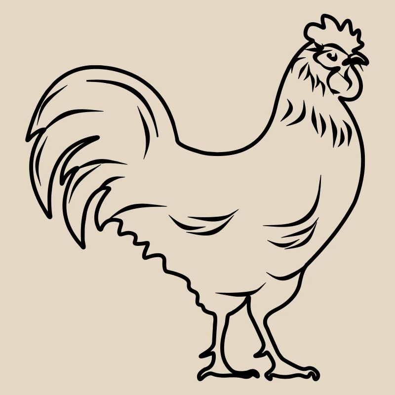 Coq transparent