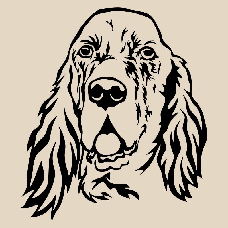 Englischer Setter Kopf