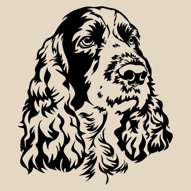Englischer Springer Spaniel Kopf