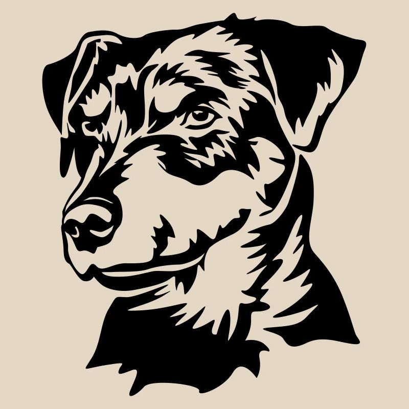 Deutscher Jagdterrier Kopf