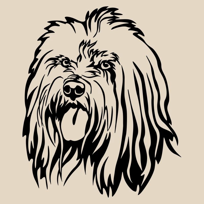Tibet Terrier Head