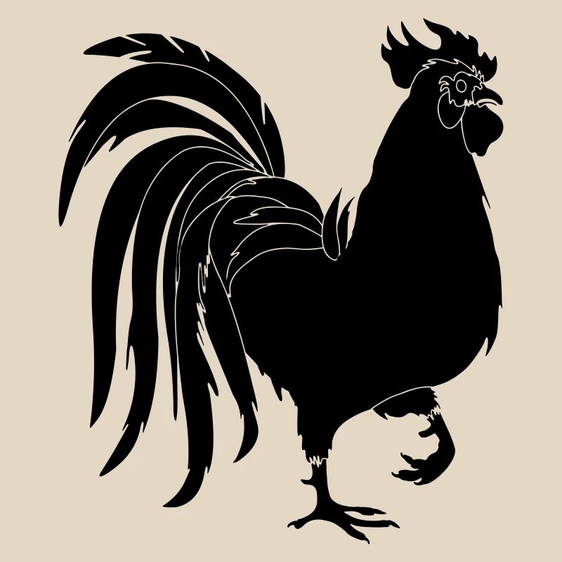 Coq noir