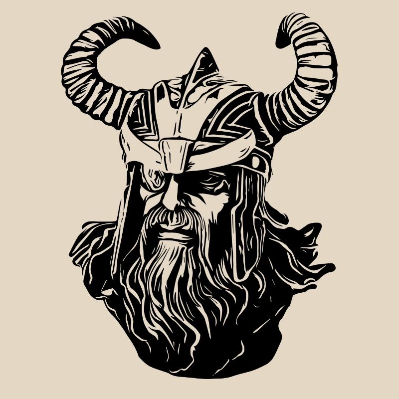 Odin Wikinger