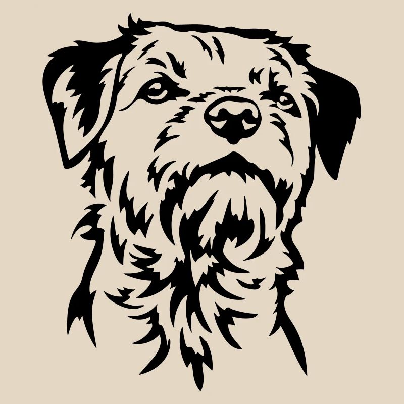 Tête de Border Terrier