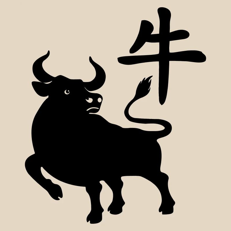 Chinesisches Zeichenbetriebssystem mit OS-Bild, Schatten