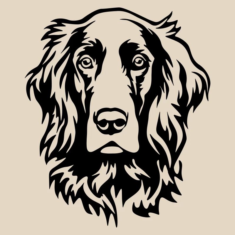 Tête de setter irlandais
