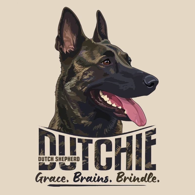 Dutchie - Dutch Shepherd Dog