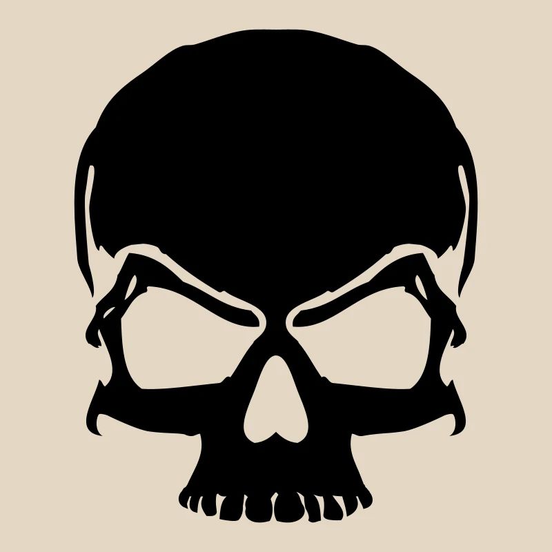 skull pirate skull