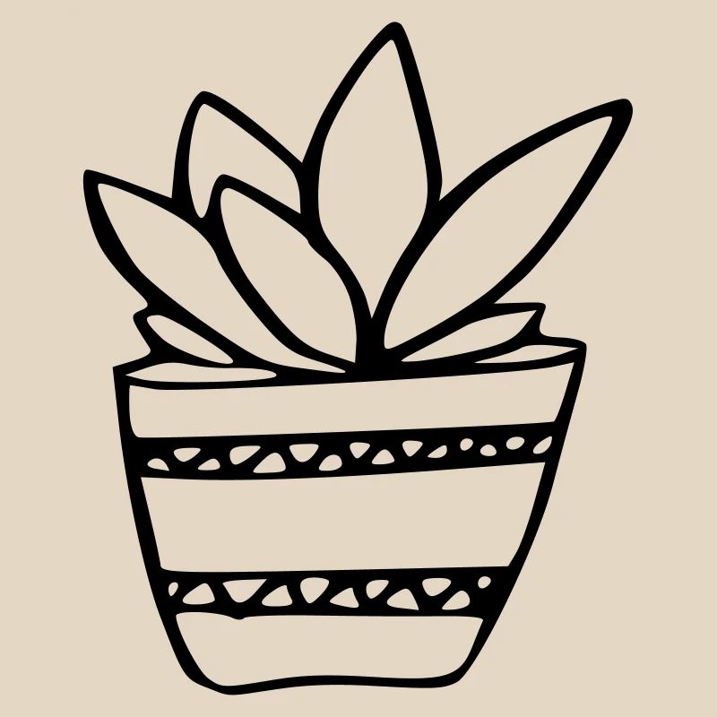 Plante