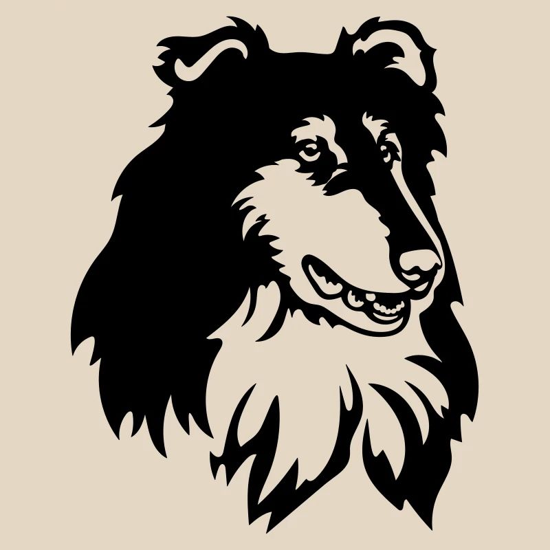 Tête de Collie