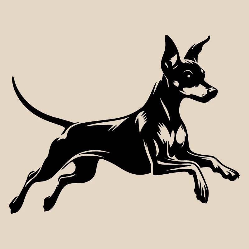 Zwergpinscher