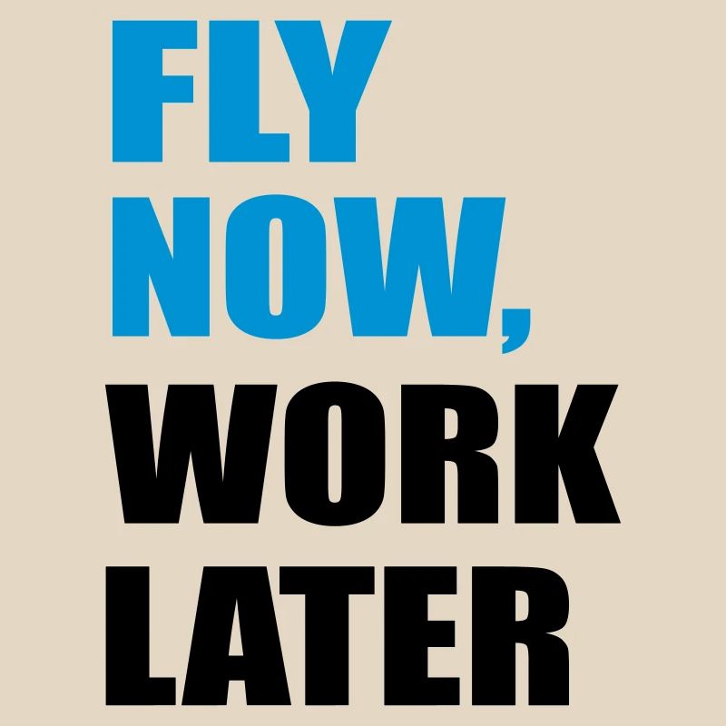 fly