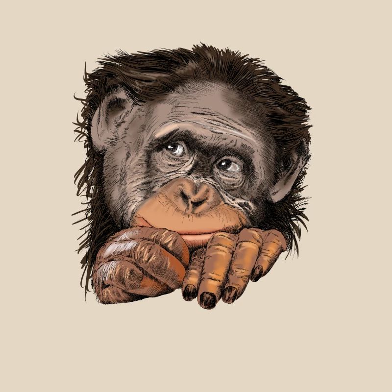 Monkey