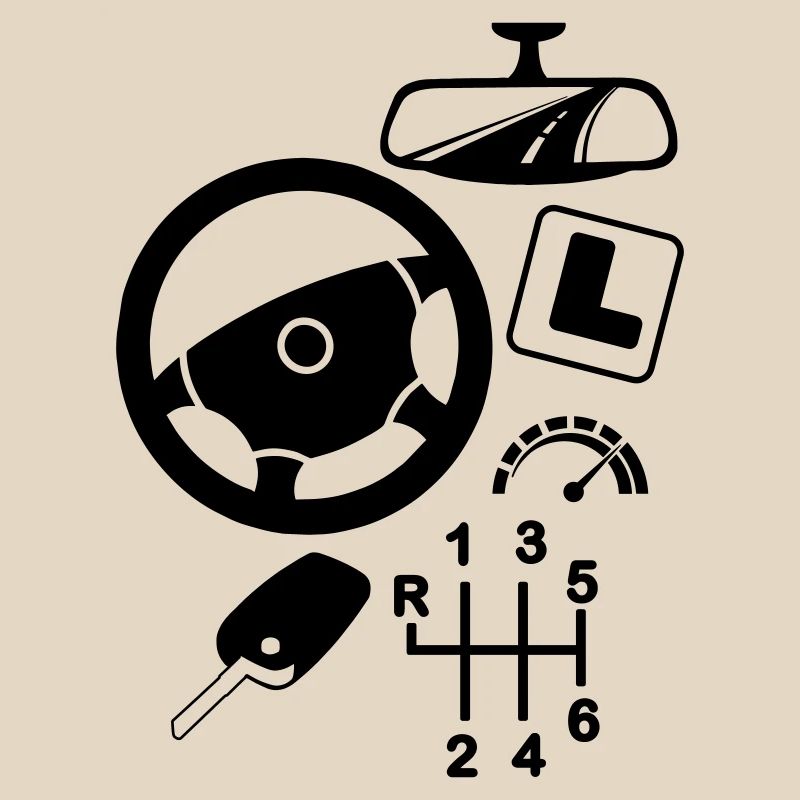 logo Moniteur de conduite automobile