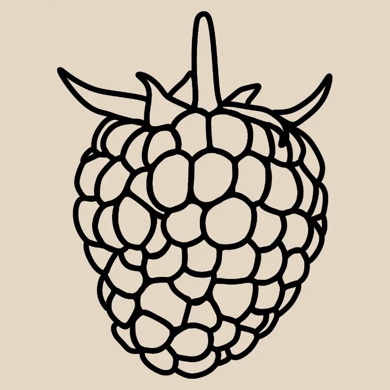 Raspberry Silhouette