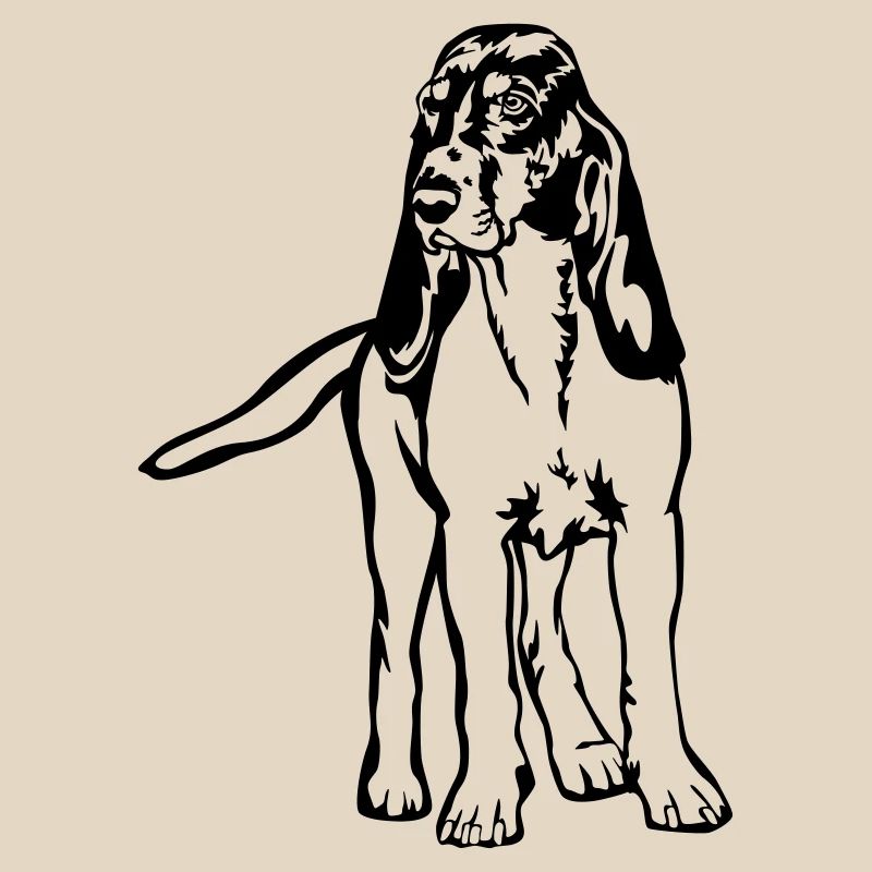 Chien de course bernois