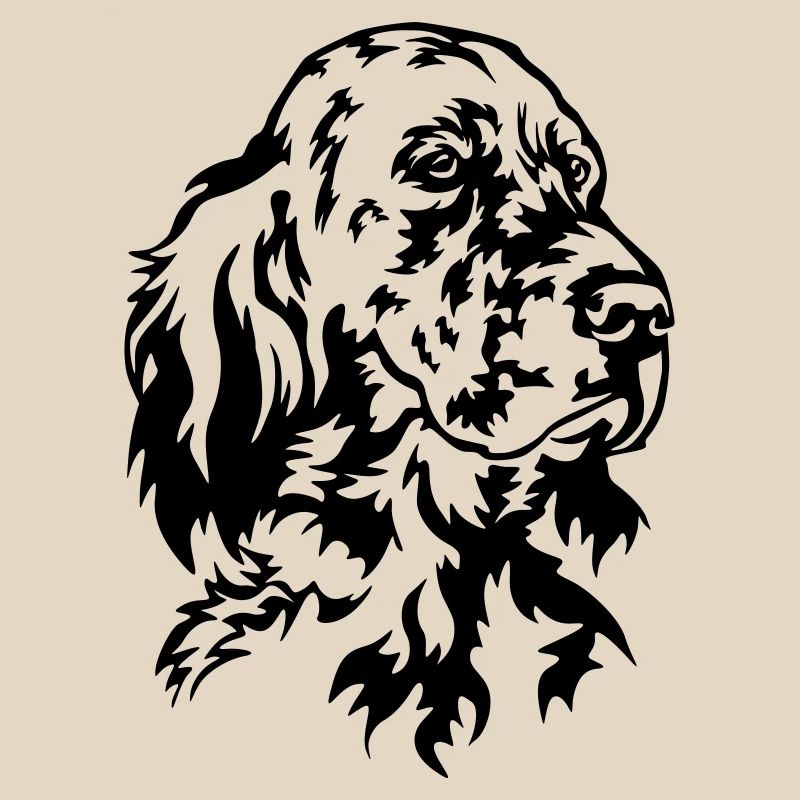 Englischer Setter Kopf