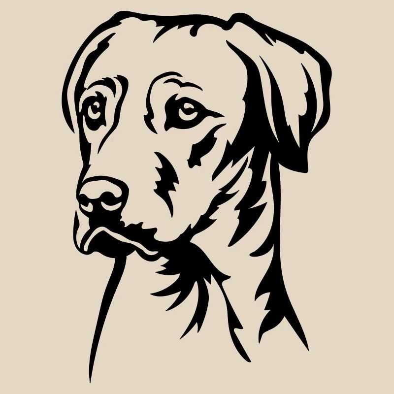 Rhodesian Ridgeback Head