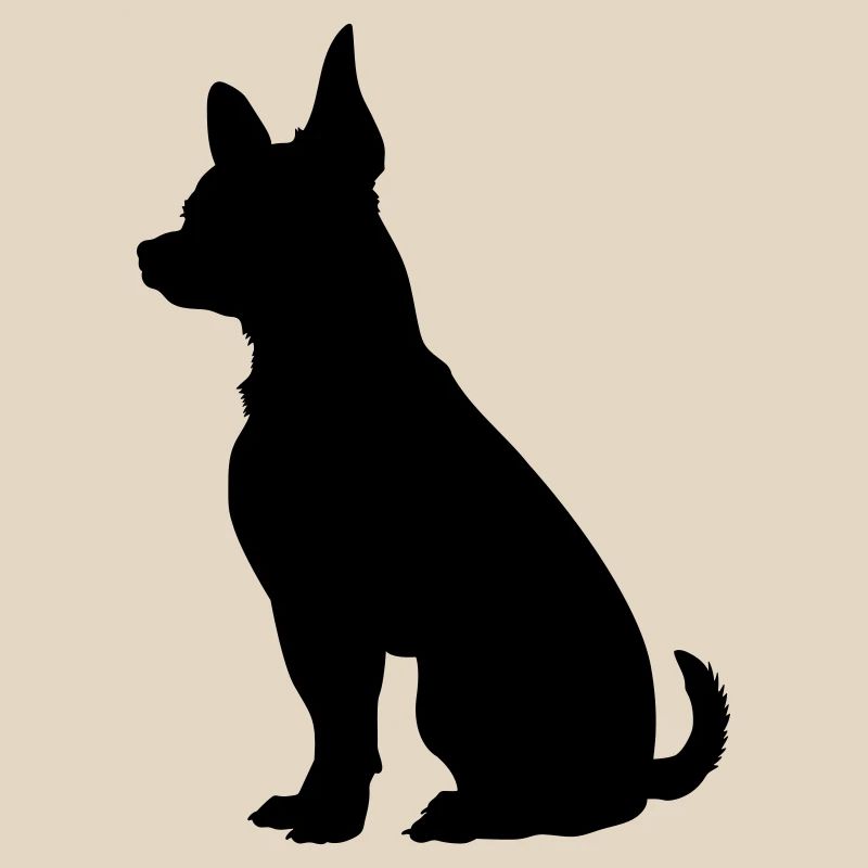 Hund