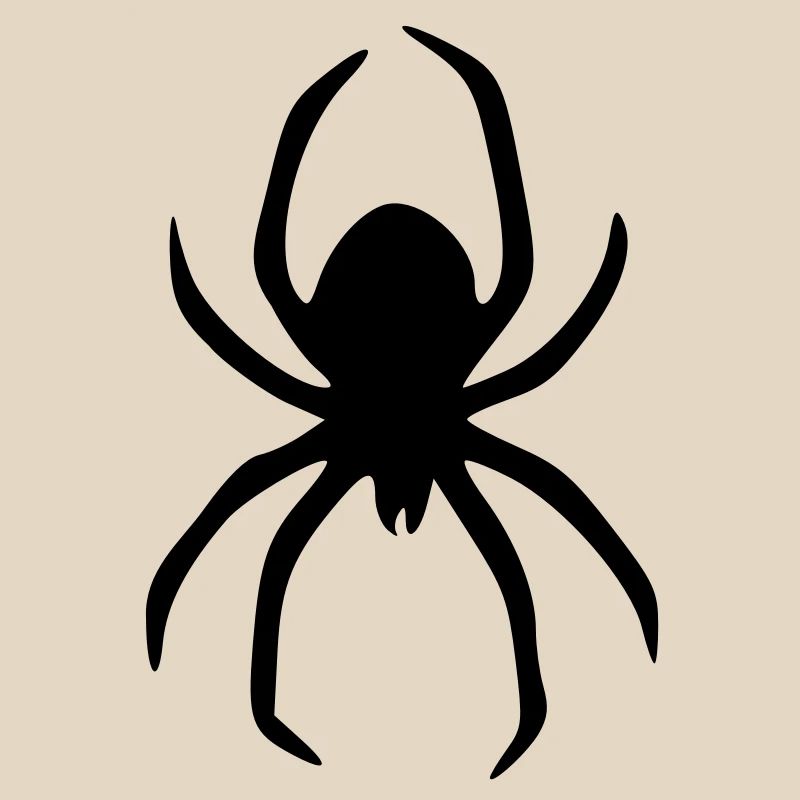 spinne