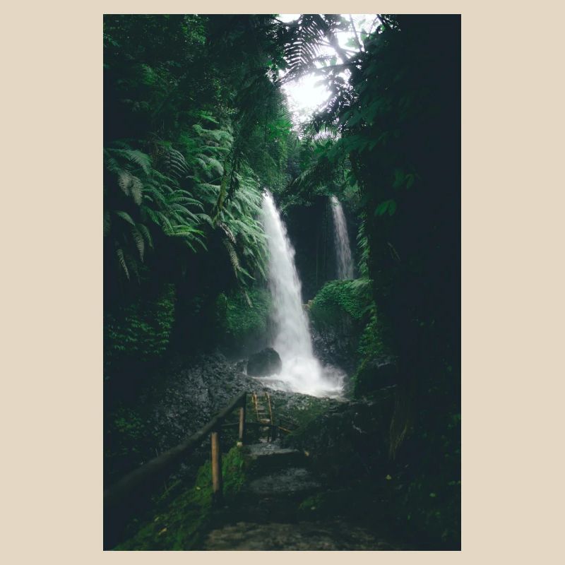 Cascade dans la Jungle Verte