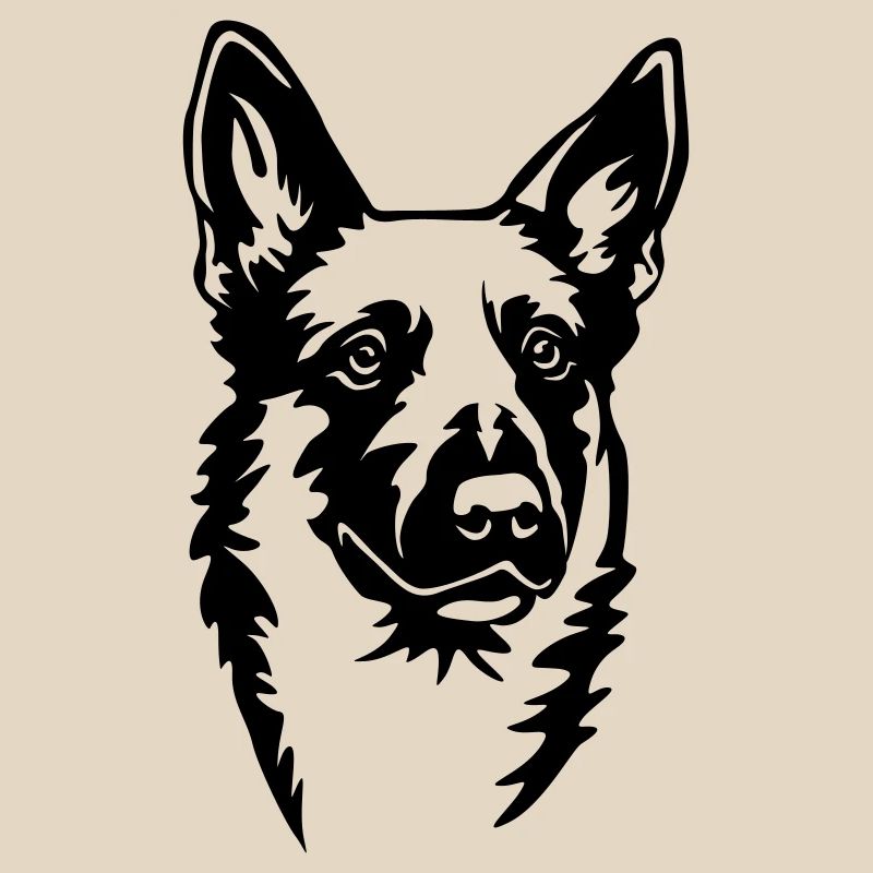 Malinois Kopf
