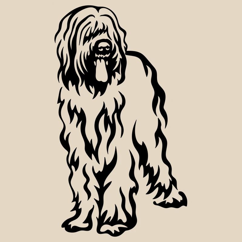 Briard