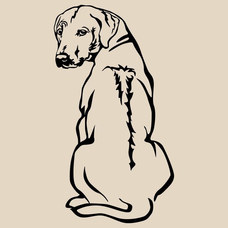 Rhodesian Ridgeback