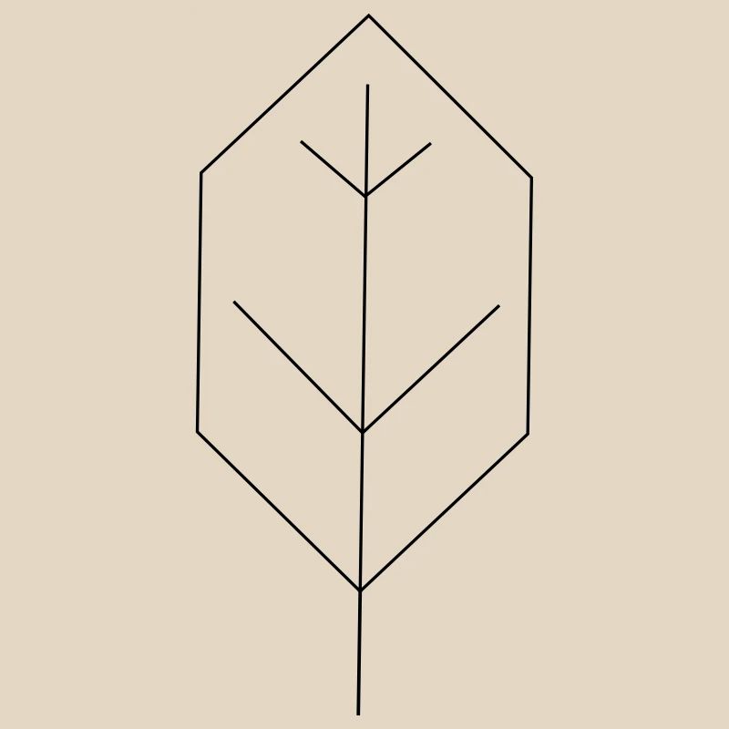 contour des feuilles