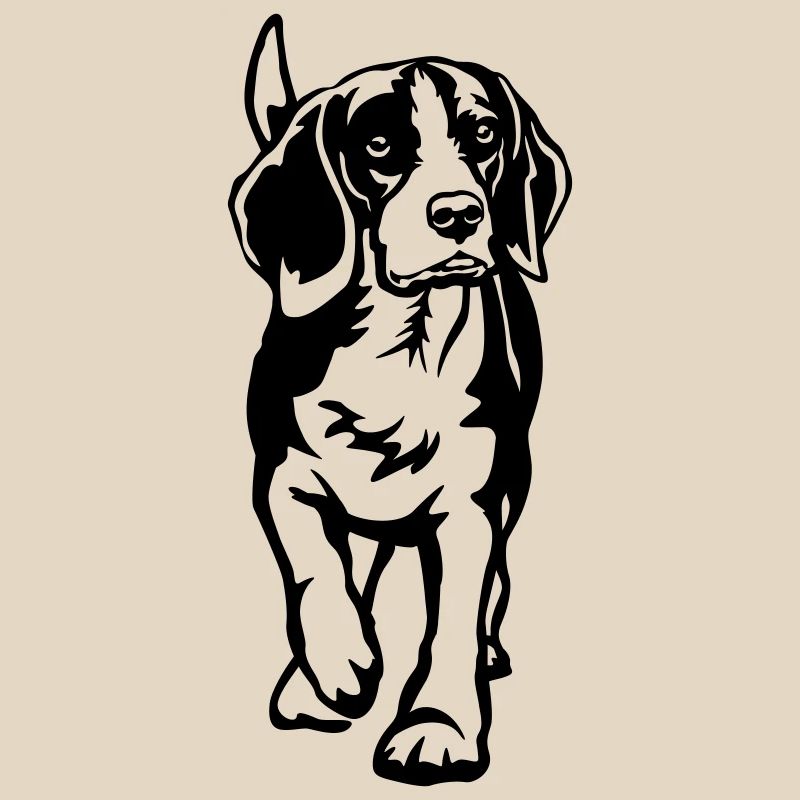 Beagle