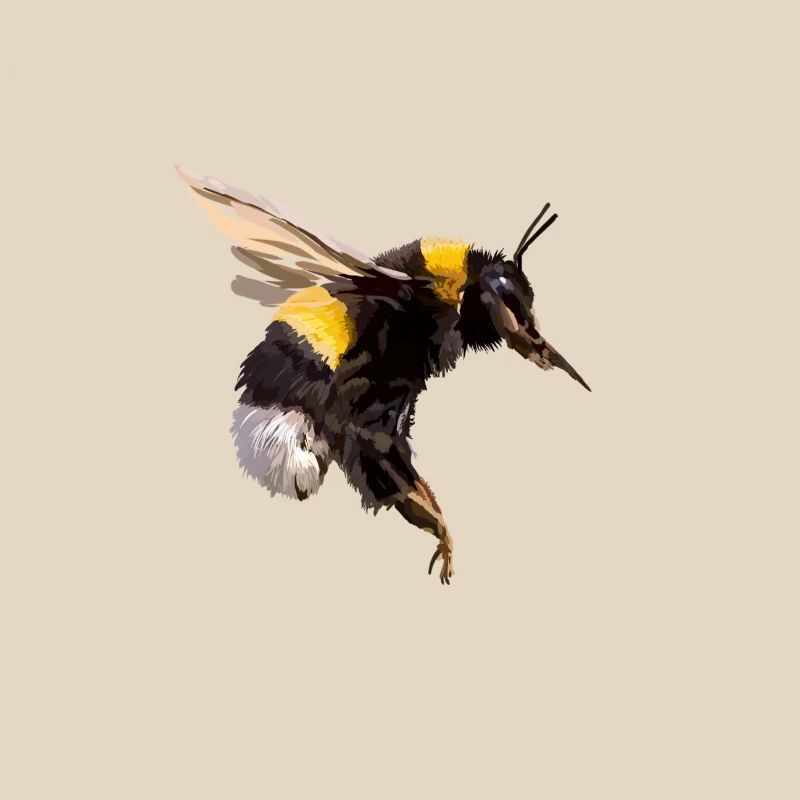 Bumblebee