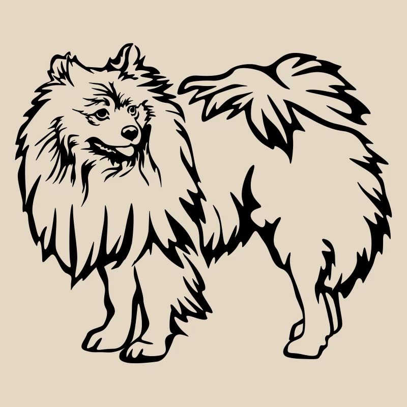 Spitz