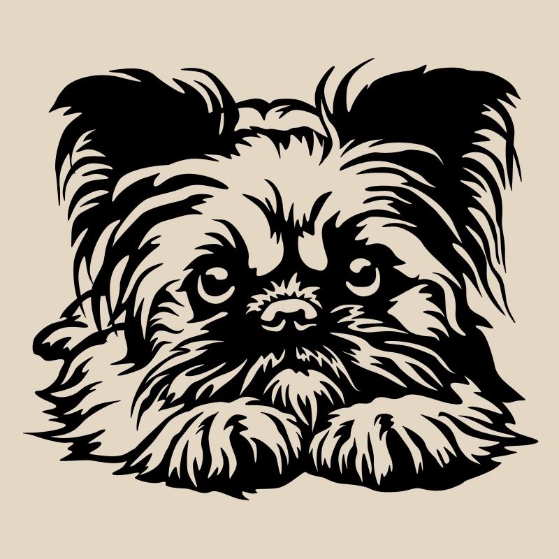 Brussels Griffon Head